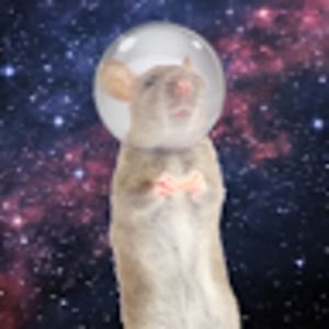 Meet your Posher, Christian